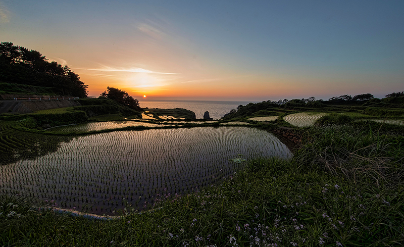 平戸市大島棚田