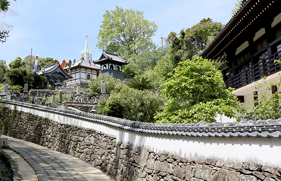 寺院と教会とこいのぼりの見える風景写真