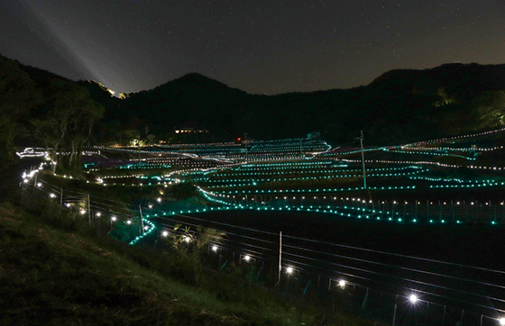 世界遺産イルミネーション写真