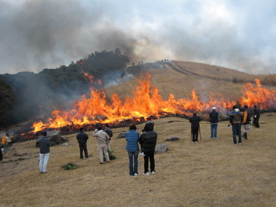野焼きの写真
