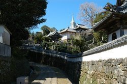 寺院と教会の見える風景