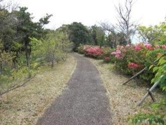 宝亀森林公園 2