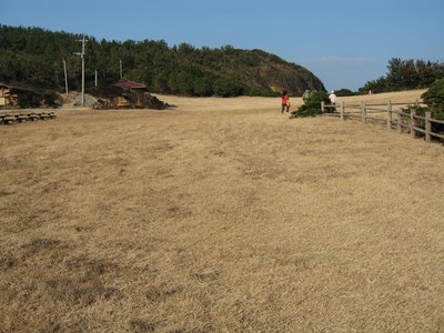 大賀キャンプ場