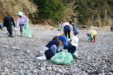 海岸清掃の写真