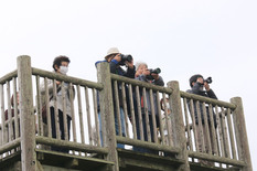 平の辻展望台からの眺めを楽しむ参加者の写真