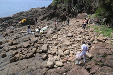 清掃後の中江ノ島の画像