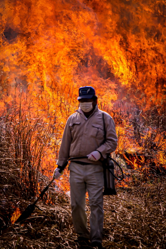 川内峠に火を入れる地元民の画像