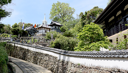 寺院と教会とこいのぼりの見える風景写真