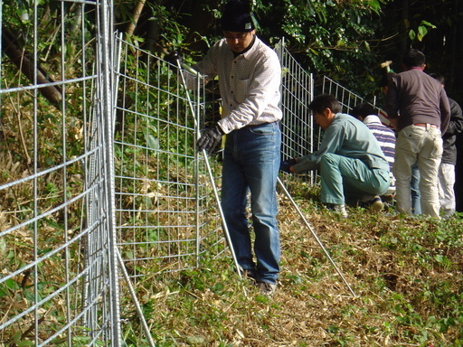 防護柵を設置する地域住民の画像
