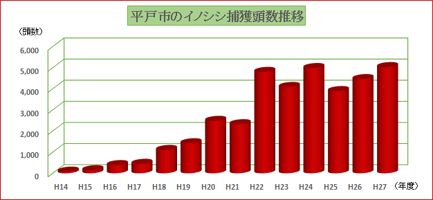 平戸市のイノシシ捕獲頭数推移