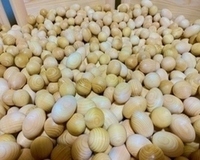 木球画像