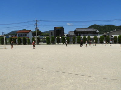 tuyu2