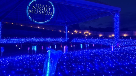 ナイトミュージアム