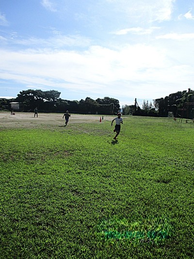 小陸大会