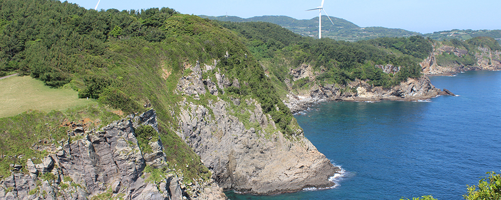 大島の風景の写真