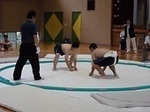 sumo