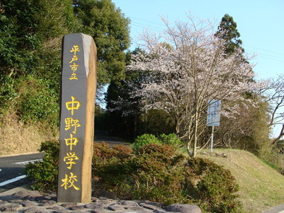 さくら