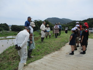 田植え１