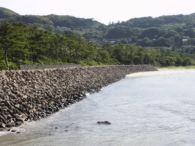 根獅子の浜の中央付近です