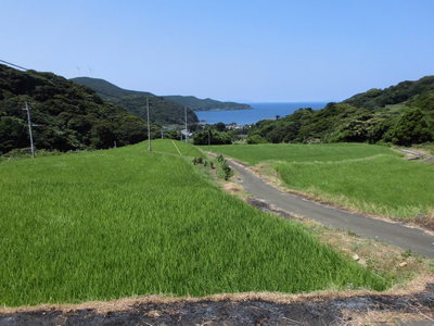 飯良町の由来は，その名前のとおり，美しい棚田が広がりおいしい良い米ができることからついたそうです。