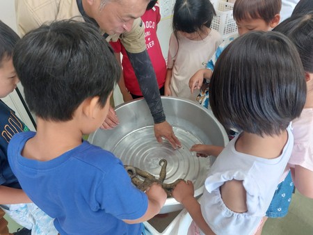 お魚教室（１・2年生）