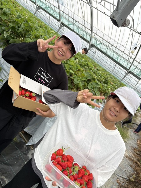 いちご狩り