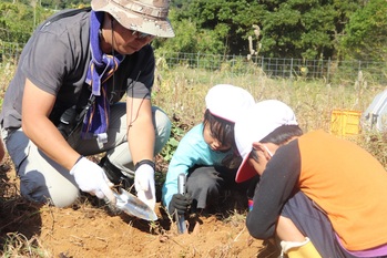 地域の方と一緒に芋を掘ります