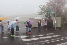 雨の中手を挙げてわたります