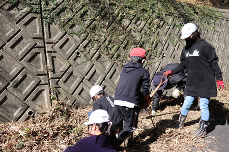 ボランティア掃除