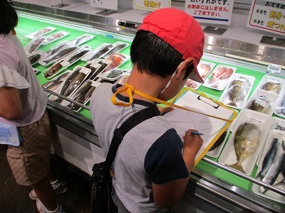 seto5