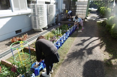 mizuyari