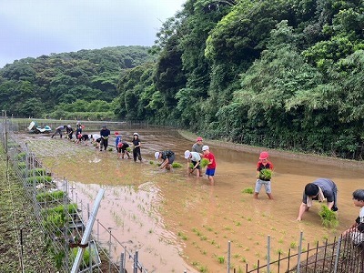 taue9