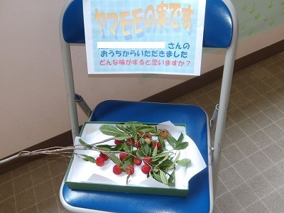 yamamomo