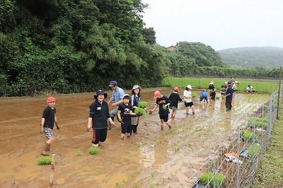 taue2