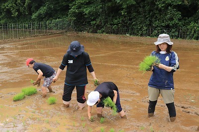 taue7