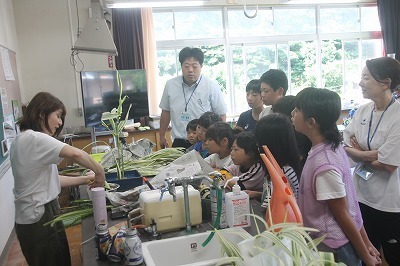 ikebana2