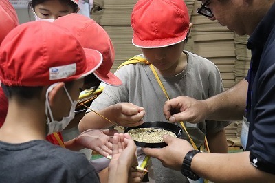 rice8