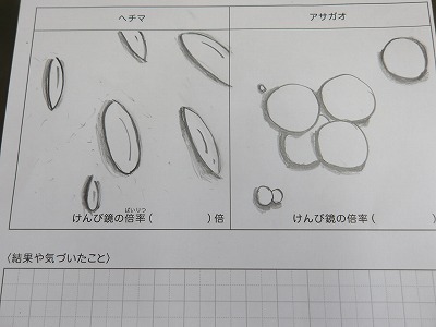 micro2