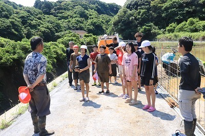 taue10