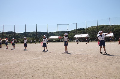 bibai2