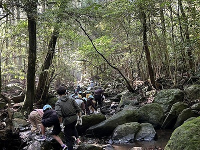 nobori1