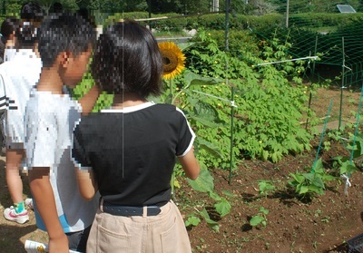大きく３