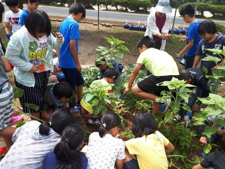 理科の学習の様子 理科の学習の様子