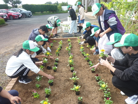 花いっぱい運動 花いっぱい運動