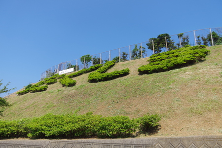 PTA除草作業