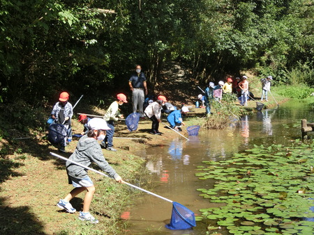 生活科見学