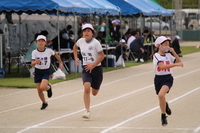 大会の様子