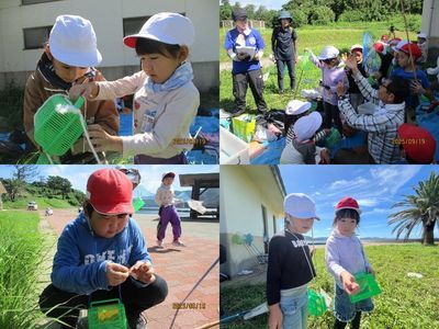 虫探しの様子