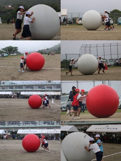 大玉