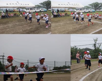 1年